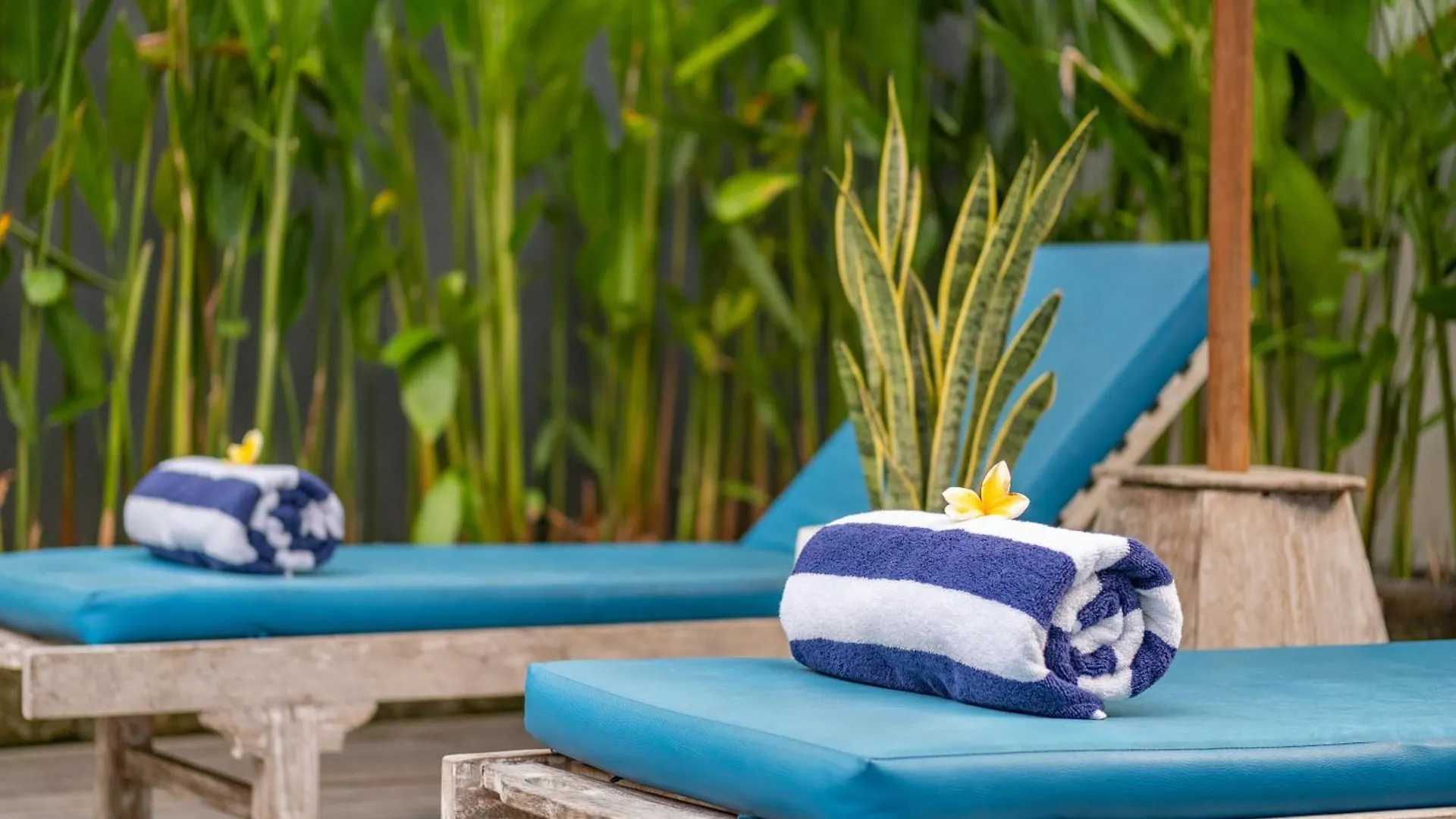 ☆ Villa Larissa ☆ Seminyak 2Br Pool Kuta Petitenget  塞米亚克